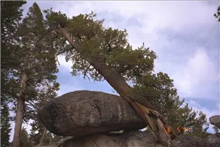 small_9400 1258 ct ca az family fujiIMG0097.webp